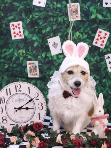 20250401こはるちゃん